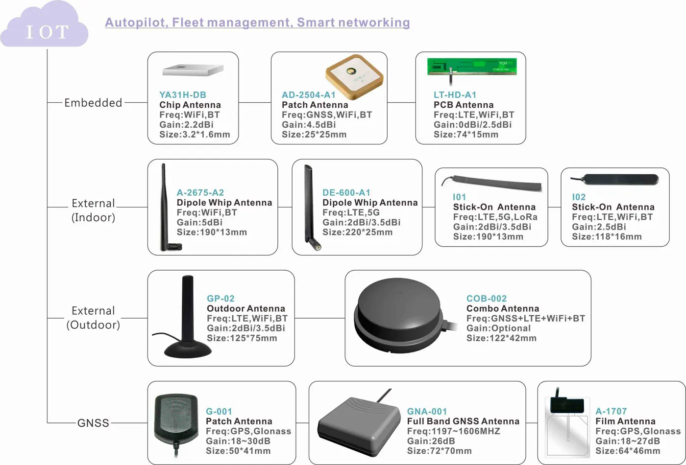 IoT